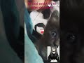 #music