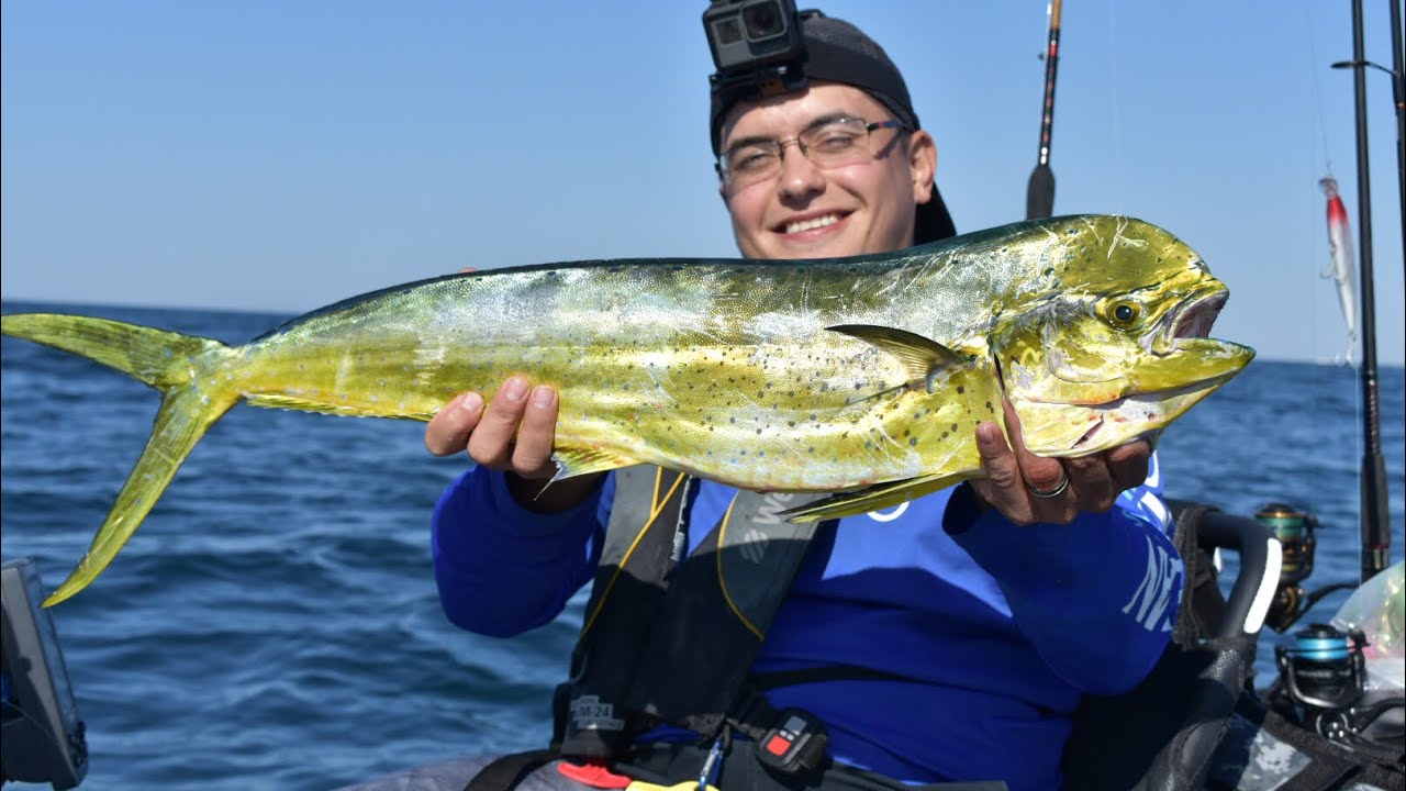 Offshore Kayak Fishing Mahi Mahi Navarre Florida YouTube