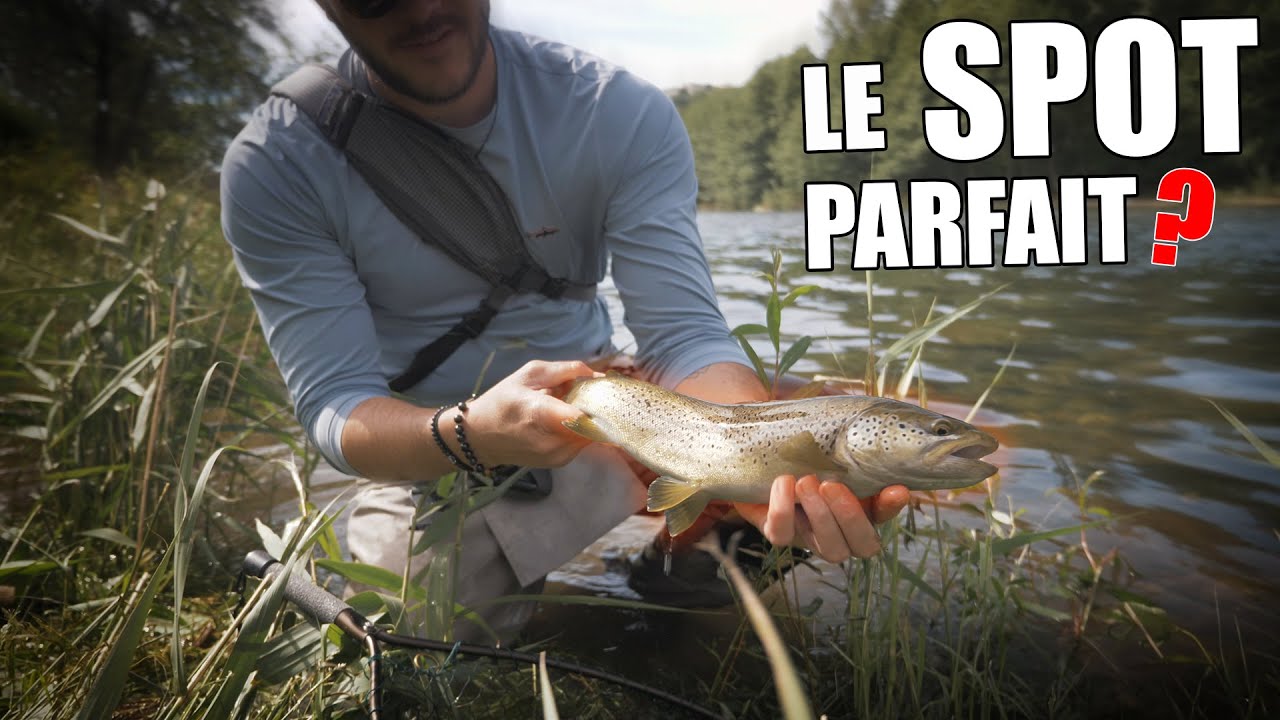 Toutes les vidéos