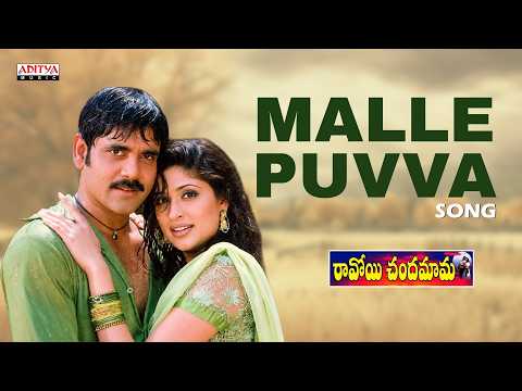 Malle Puvva Audio Song | Ravoyi Chandamama | Nagarjuna, Anjala Zaveri | Mani Sharma | SP Balu