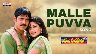 Malle Puvva Audio Song | Ravoyi Chandamama | Nagarjuna, Anjala Zaveri | Mani Sharma | SP Balu