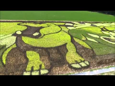 旭川　田んぼアート2015