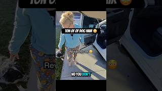 POV Detailing a dog hair filled van 🐶 #detailing #shorts #inlandempire