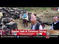      dashain chengra pokhara  himalayan goat changra  exclusive