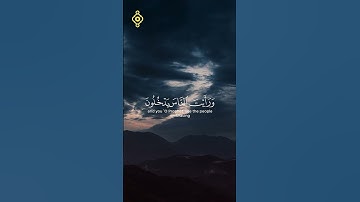 سورة الفجر سعد الغامدي #سورة_الفجر #سعد_الغامدي