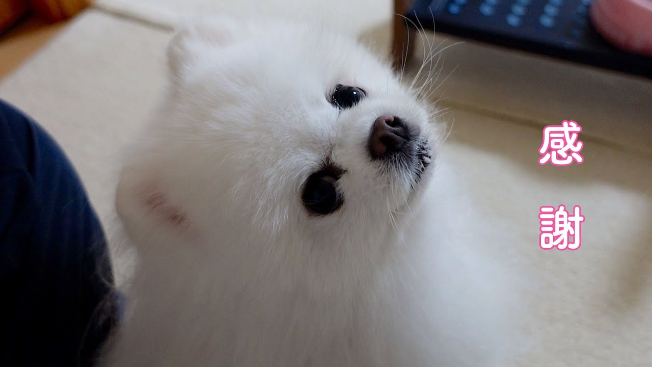 ありがとうございました！