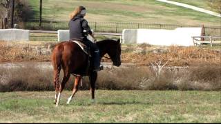 Springdrops - flat work - Valley View Ranch