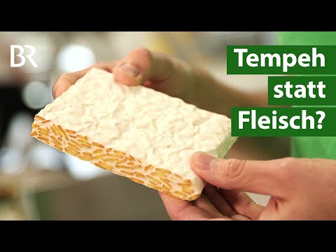 Fleischersatz: Tempeh aus bayerischem Soja oder Lupinen - nicht nur für Veganer | Unser Land | BR