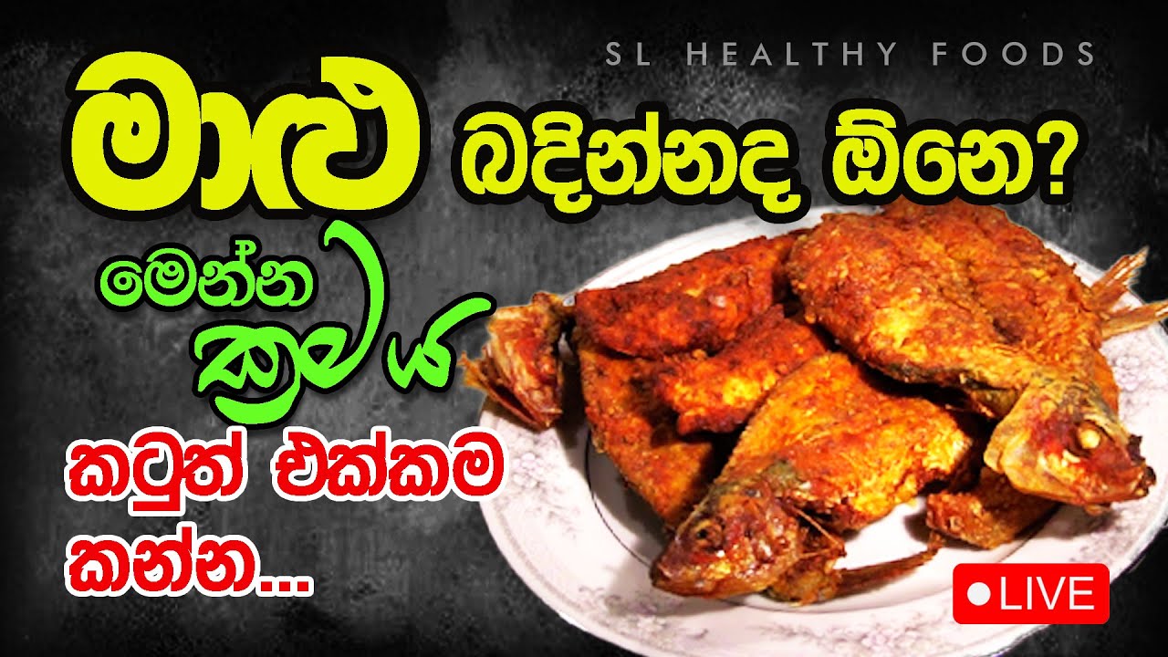 මාළුද බඳින්න ඕනේ මෙන්න ක්‍රමය කටුත් එක්කම කන්න