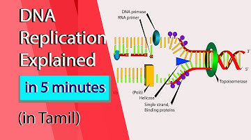 DNA Replication Animation in Tamil || Genetics - Molecular Basis of inheritance || NCERT class 12