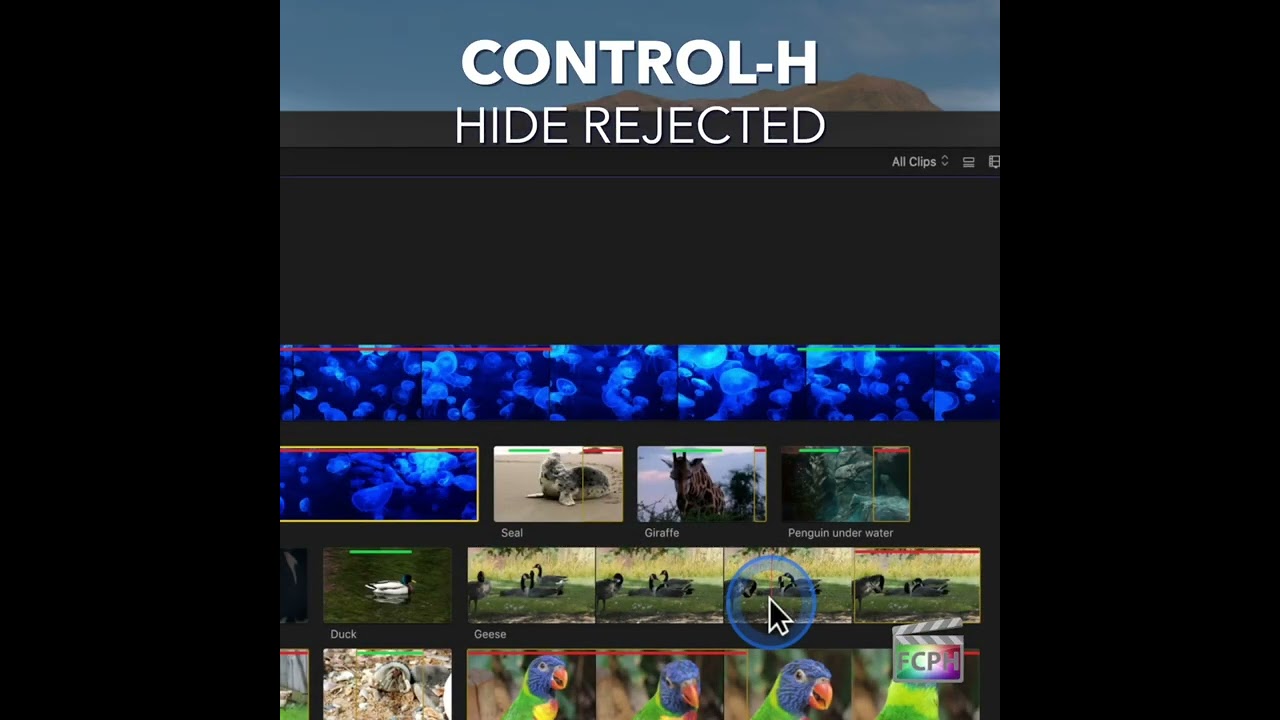 Final Cut Pro Shortcut | Control-H | Hide Rejected