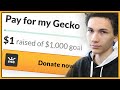 Stop donating to these dumb reptile fundraisers | GoFundMe Garbage