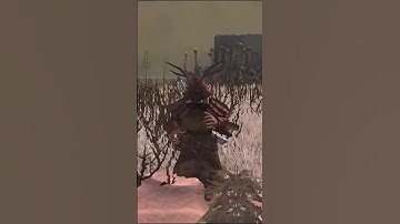 Train your Strength | Kenshi Tips