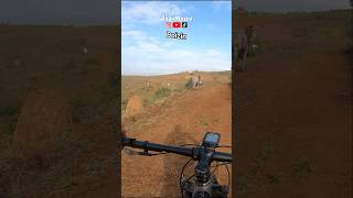 Boizin #mtb