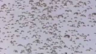 I Like The Sprite In You