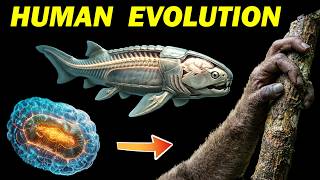 Human Evolution Upgrades → from Molecules to You! 💡 Morph EDU 🎵
