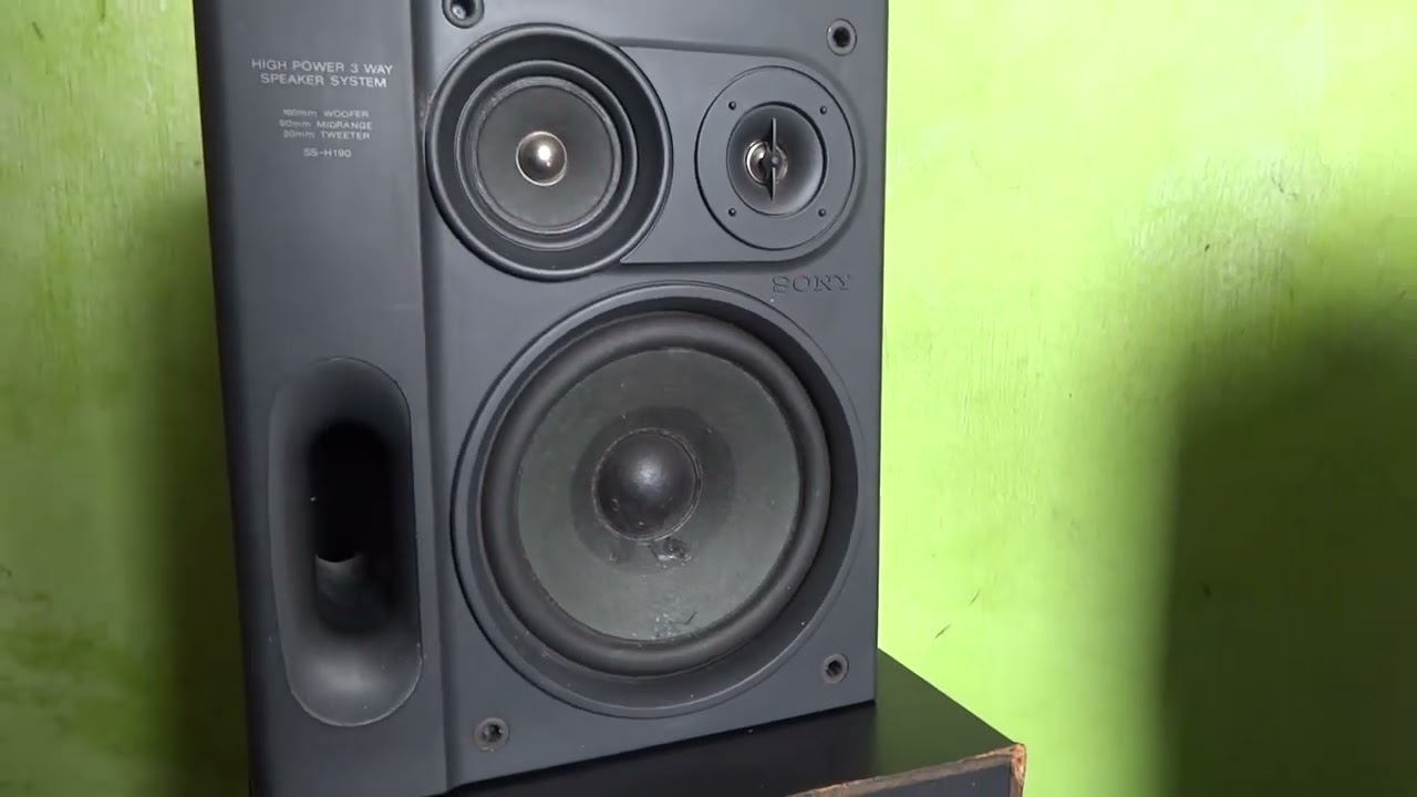 Japanese original SONY SS-H190