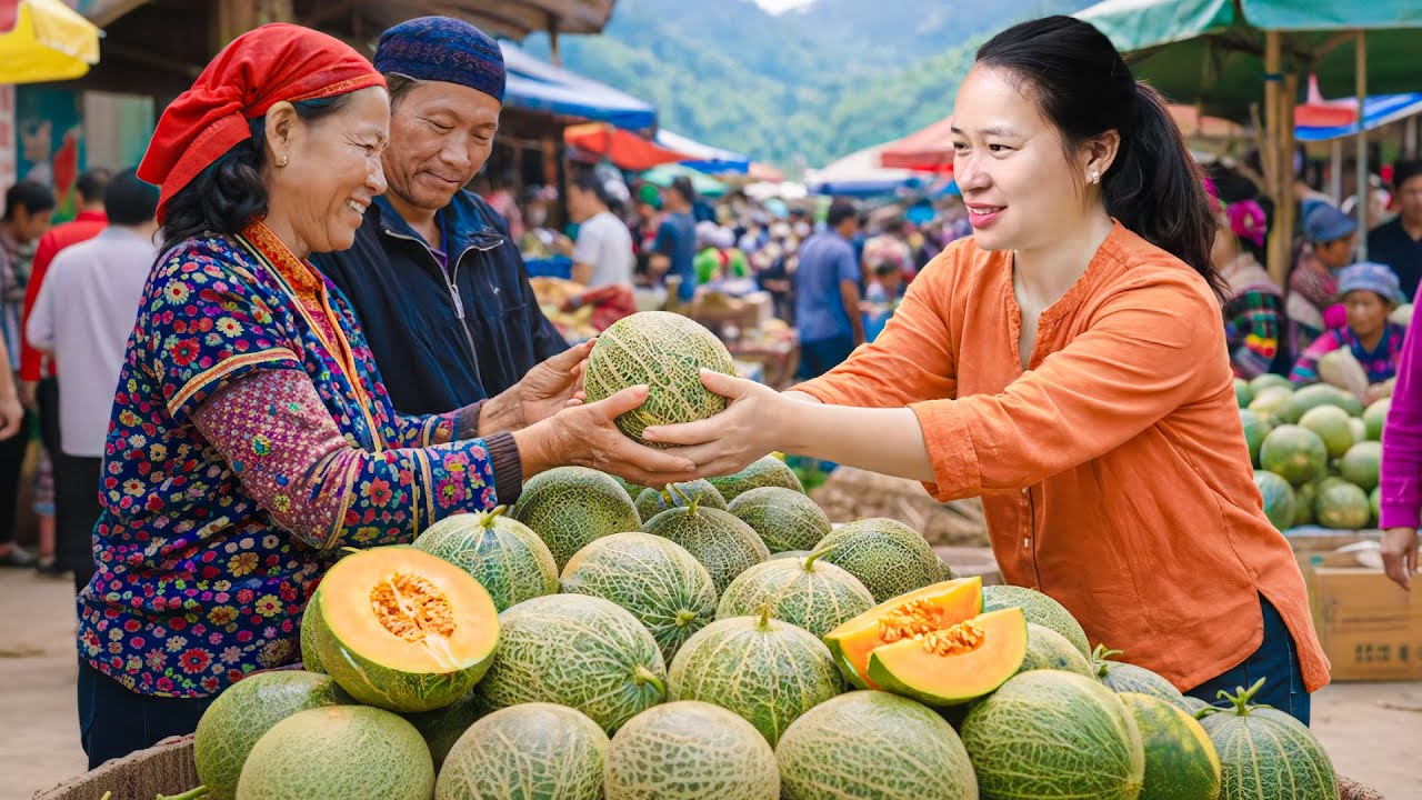 甘いメロンを収穫🍈市場販売＆娘と一緒にとうもろこし栽培のお手伝い🌽