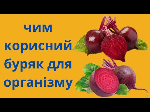 КОРИСТЬ БУРЯКА. ЧОМУ