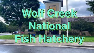 Wolf Creek National Fish Hatchery in Jamestown Kentucky screenshot 1