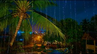Rainy Night with Coconut Trees Tropical Rain Sounds for Sleep 🌴🌧️ Profile