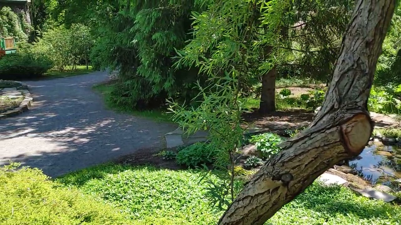 Quebec Zoo 20210612 Old House (no sound)