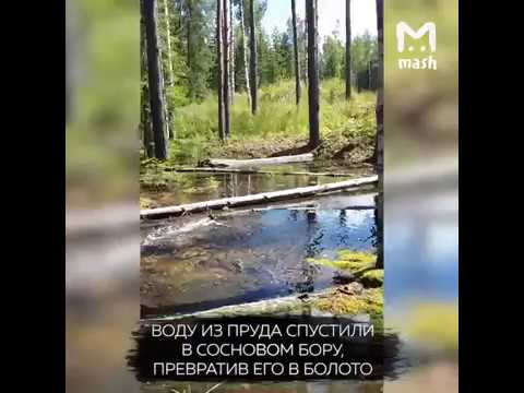 Vídeo: Zavidovsky reserva natural: características do parque nacional