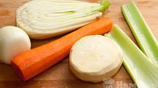 Master S Soup Of Sturgeon