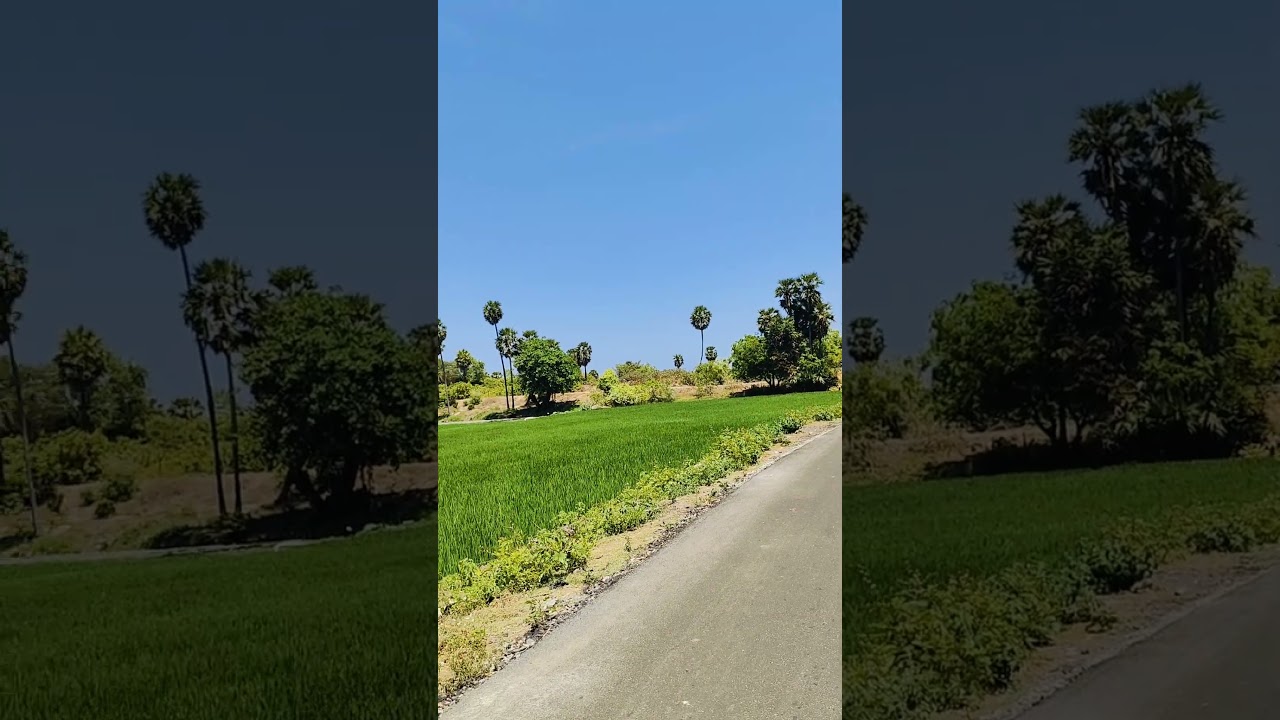 Very Very Low Budget 60 Cent Best Investment Agricultural Land for sale ECR kadapakkam ct 9626716274