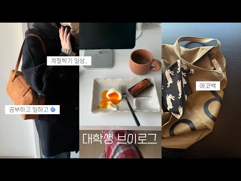 근로하고 공부하는 대학생 현실 방학 일상 | 또 시험기간. 자취생. 에코백. 겨울 옷. 계절학기. 빵순이 