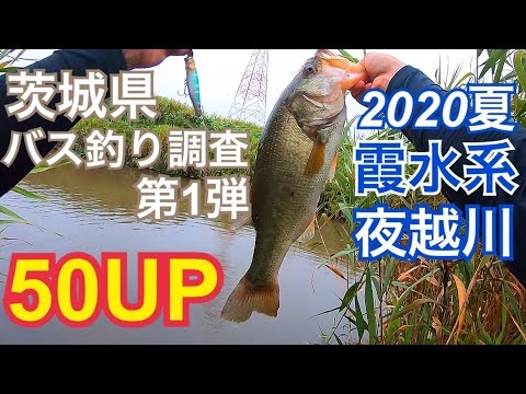 夜越川で50アップ 霞水系 オカッパリ バス釣り トップウォーター Youtube