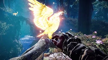 Far cry primal ps4 owl control