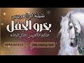 شيلة فخمه جتكم ام العريس تختال فرحانه جديد وحصري2026 شيلة ام العريس جتكم ام العريس 