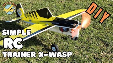 Building This 3D RC Plane Was a Risk… But Totally Worth It!