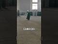 드럼통이 혼자 목표를 찾아간다고? 믿을 수 없는 마법 같은 기술!