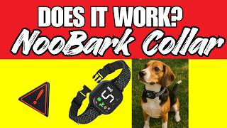 🐶 NooBark Anti Bark Collar Reviews - Is Noobark Collar for Dogs Safe or Just Hype?