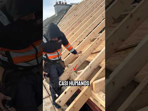 El Método Que Usa EE UU Para Construir Casas En Tiempo Récord