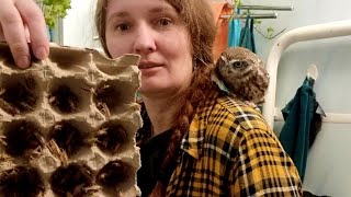Three thousand crickets for a chest of cockroaches! Owl Luchik unpacks food delivery from T-RexFood