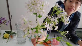 ナデシコの仲間のお花たち！