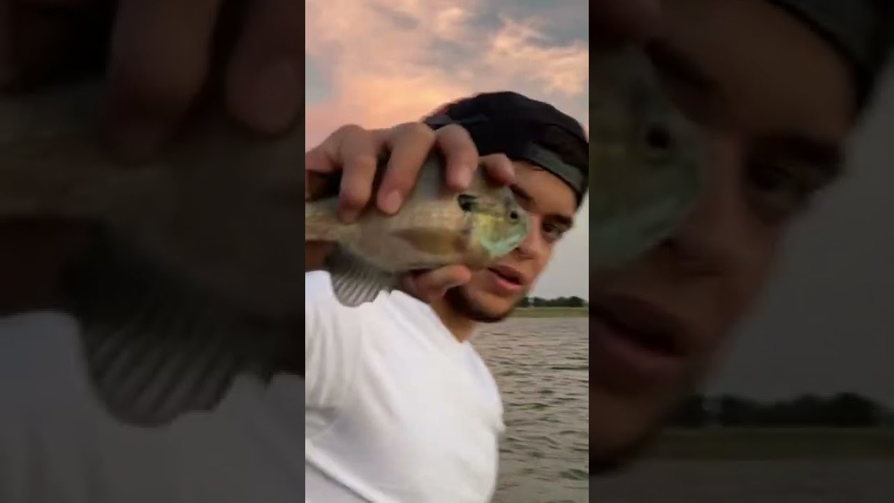 Catching sunfish and pike outta lon hagler, fishing reports dont say any pike are in there…