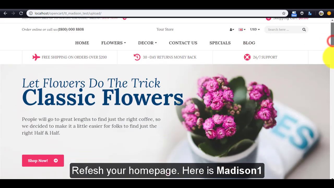 How to install Madison Responsive Opencart theme