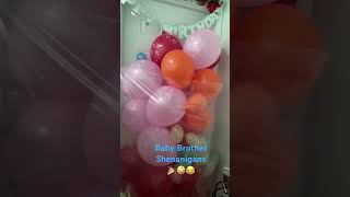 Happy Birthday Shenanigans