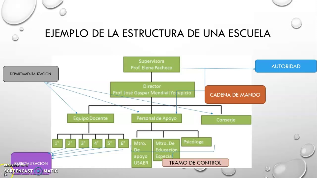 estructura de una organización YouTube