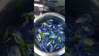 Shankupushpam Tea Healthy life Tea | #bluetea #butterflypeatea #healthylifetea #flowertea #Goodtea