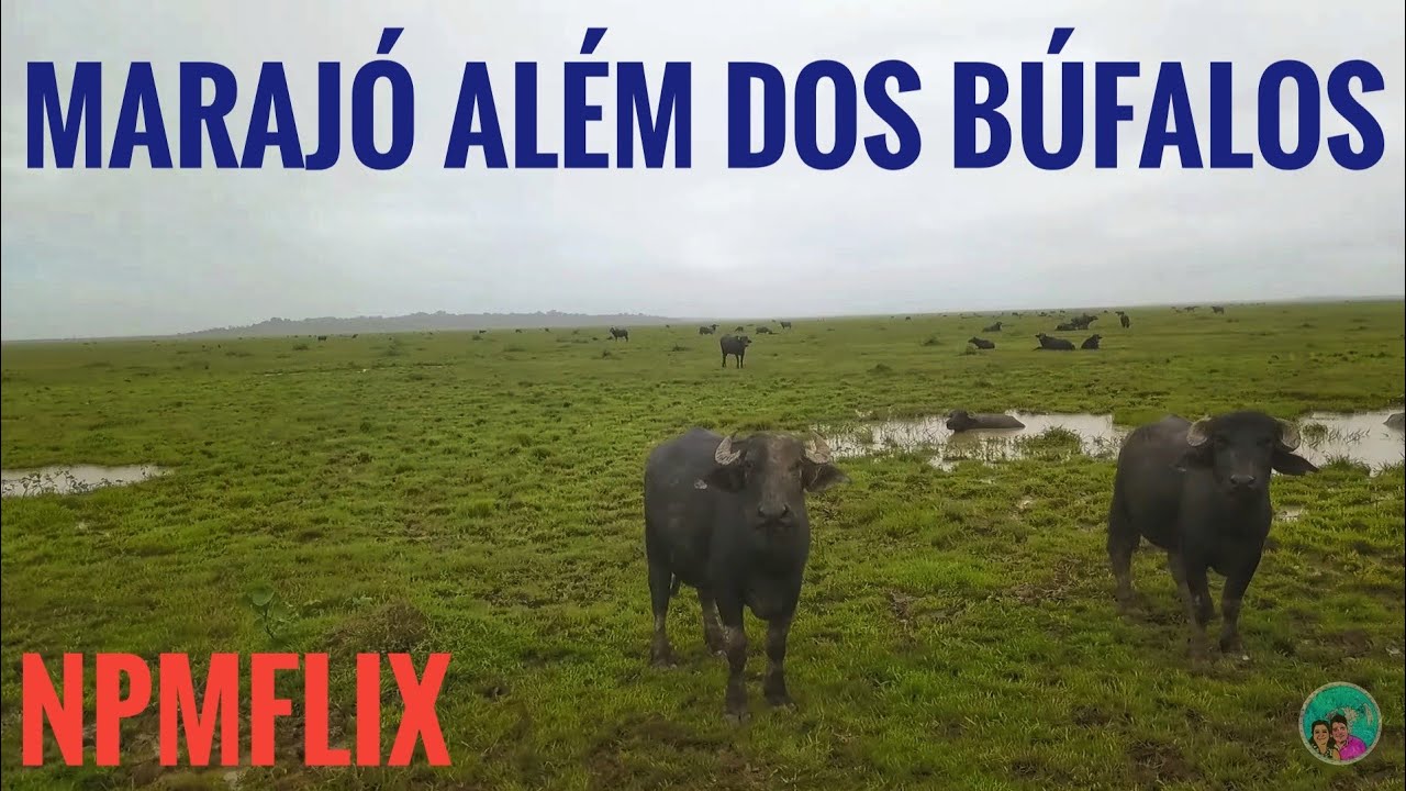 DOCUMENTÁRIO MARAJOARA por Nois Pelo Mundo, MUSEU DO MARAJÓ em CACHOEIRA DO ARARI 