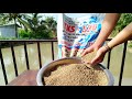 THỨC ĂN CHO CÁ TKS – S30 | VIÊN NỔI CAO CẤP | TĂNG TRƯỞNG NHANH - VỖ BÉO HIỆU QUẢ| Thuỷ Kim Sinh
