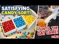 My Cat Helped Me Sort 1,000 Candies... (Fail?) 🐱🍬 #springonyoutube