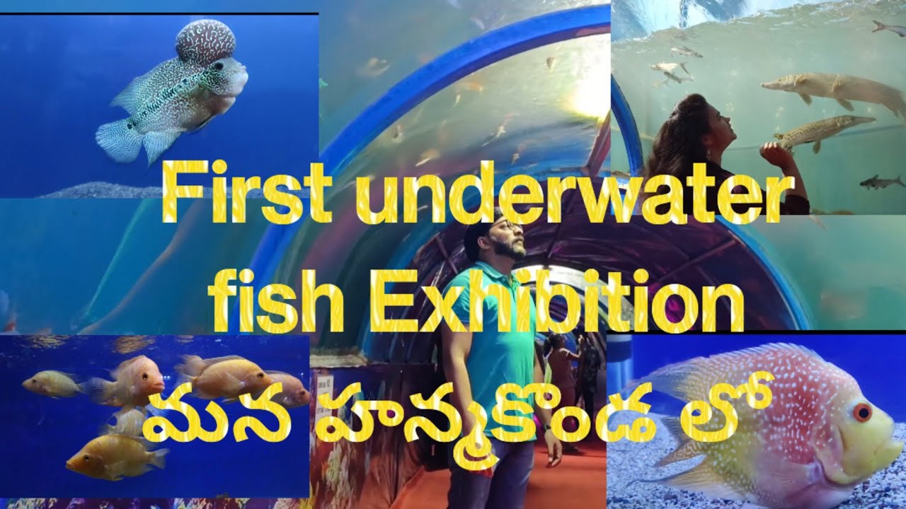 Under water tunnel Exhibition | Fish aquarium@ Hanmakonda 