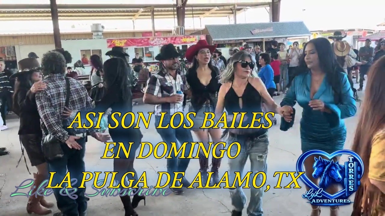 Los Bailes mas Virales de La Pulga DE Alamo Texas