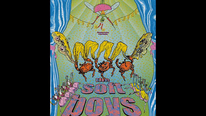 ~The soft boys ~ live at the Fillmore ~2oo1~ Full ...